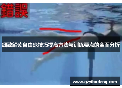 细致解读自由泳技巧提高方法与训练要点的全面分析