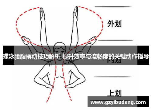 蝶泳腰腹摆动技巧解析 提升效率与流畅度的关键动作指导