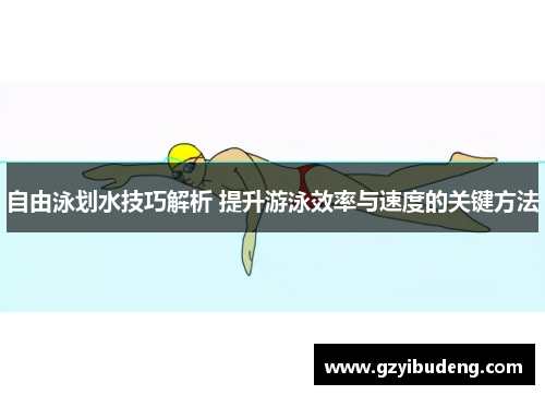 自由泳划水技巧解析 提升游泳效率与速度的关键方法